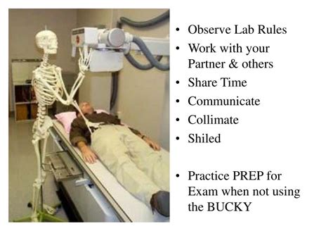 PPT Basic Radiographic Procedures CHEST LAB PowerPoint Presentation