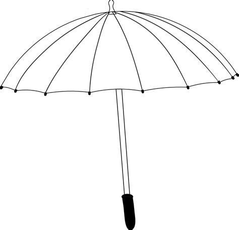 black  white umbrella vector drawing isolated  white background
