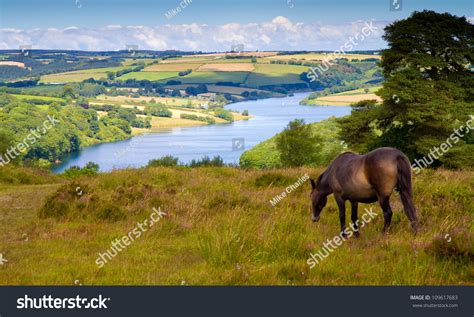 5,069 Exmoor national park Images, Stock Photos & Vectors | Shutterstock