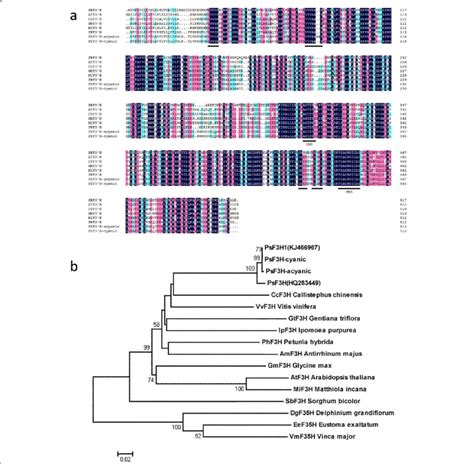 Sequence Characterization And Phylogenetic Analysis A Multiple