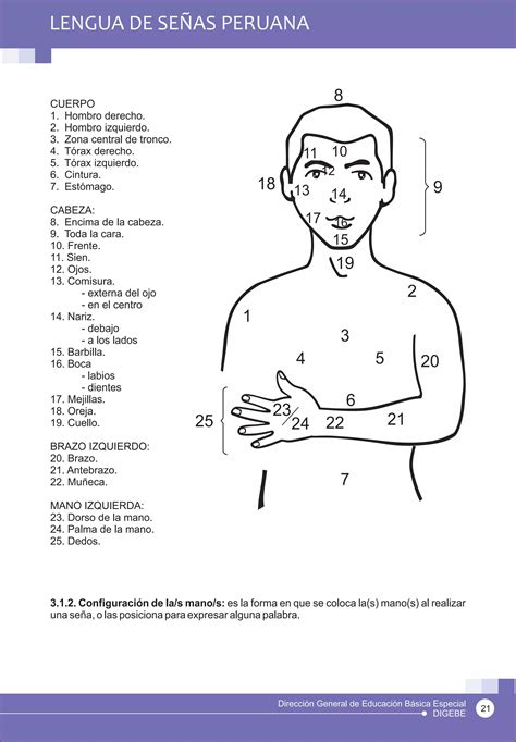 Lengua De Se As Peruana Gu A Para El Aprendizaje De La Lengua De Se As