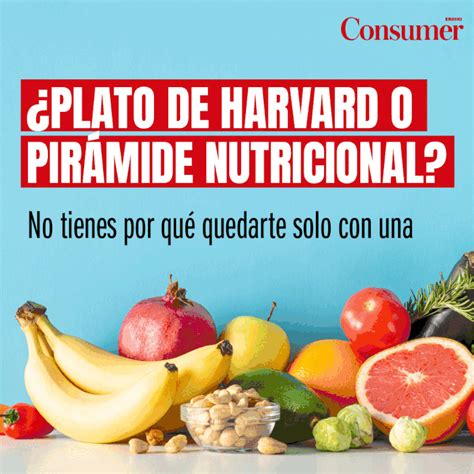 Plato De Harvard O Pir Mide Nutricional Consumer