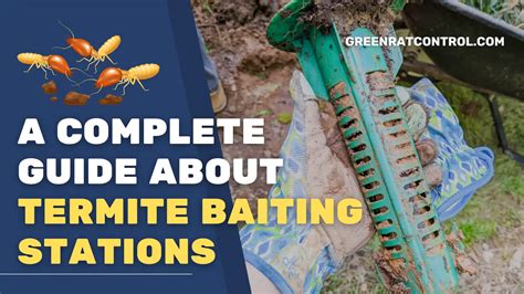 A Complete Guide About Termite Baiting Stations