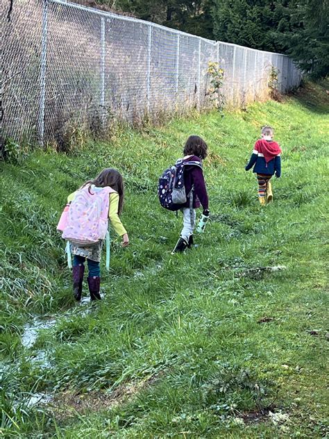 Why the frye frye frye sale is a once in a lifetime event 25