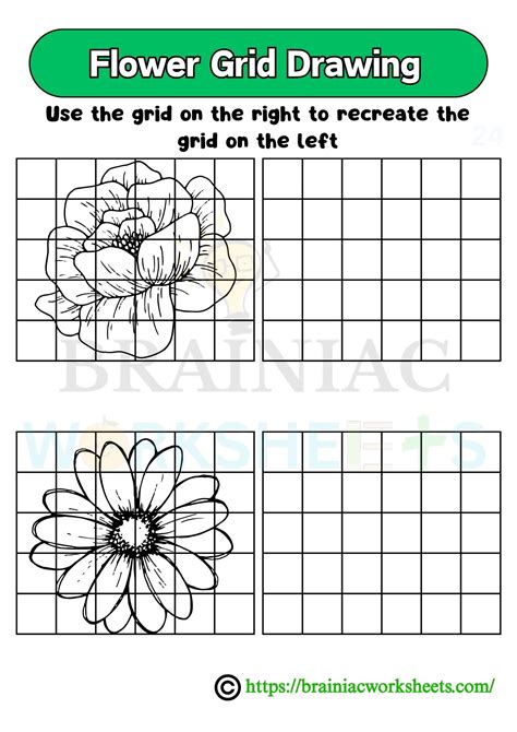 Flower Grid Drawing Worksheet Class 5 - Brainiac Worksheets