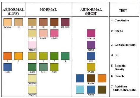 Urine Test Color Chart A Visual Reference Of Charts Chart Master