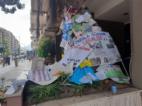 Palermo Se LAlbero Falcone Potesse Parlare