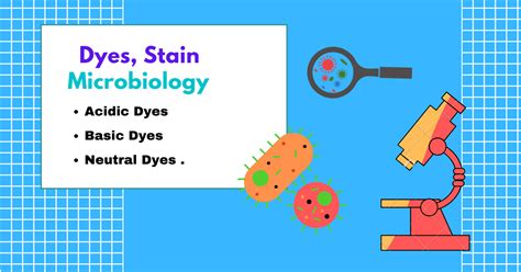 Different Types Of Dyes And Stains In Microbiology Rbr Life Science