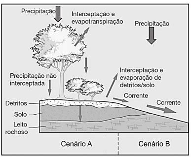 Questão UNICAMP 2019 Geografia Biogeografia Respondida e comentada