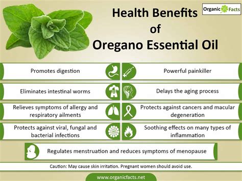 Health Benefits Of Oregano Essential Oil Organic Facts