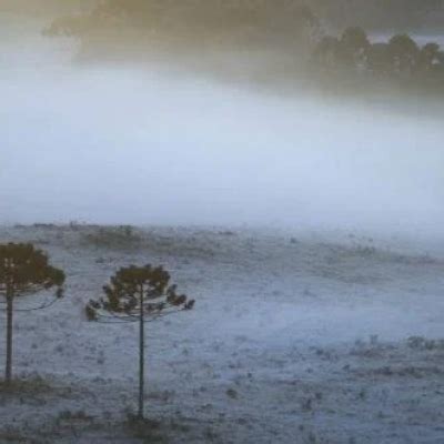 Alerta Massa De Ar Polar Pode Provocar Geada Em Reas Do Sul No