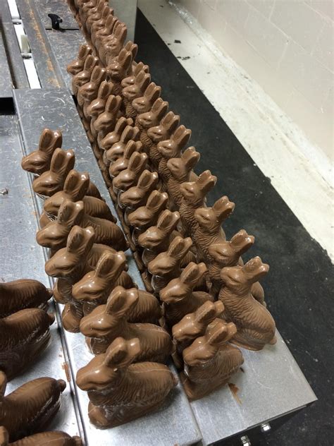 Factory Album – Madelaine Chocolate