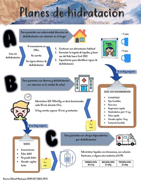 Plan De Hidrataci N Hidrataci N Infograf A Udocz