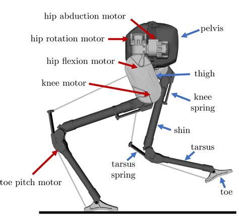 Rapid Bipedal Gait Design Using C Frost With Illustration On A Cassie Series Robot Deepai