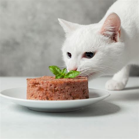 Cat Gourmet Premium Wet Cat Food