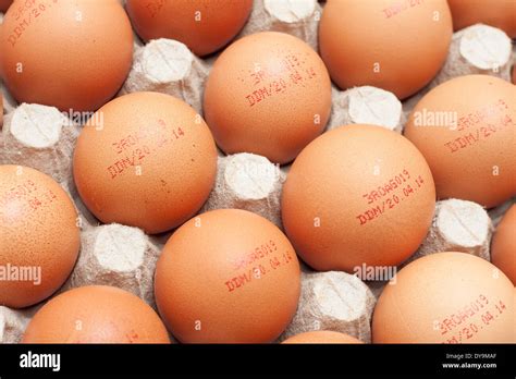 Batch Of Eggs With Expiration Date Stamp On Egg Carton Stock Photo Alamy