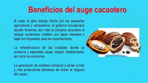 El Auge Cacaotero