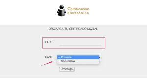 Certificado De Primaria O Secundaria INEA 19 01 2025