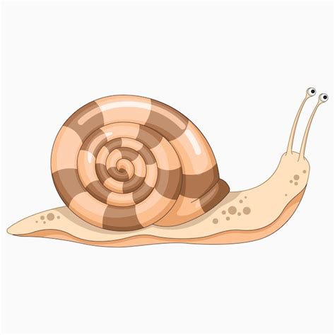 Ilustração em vetor caracol bonito dos desenhos animados Vetor Premium