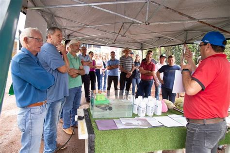 Dia de campo encerra programação dos 60 anos de Rodeio Bonito Grupo