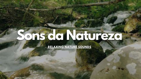 Som relaxante da natureza Estudar dormir meditar Água Sons