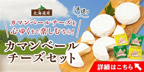 【楽天市場】【ふるさと納税】高評価 ナチュラルチーズコンテスト受賞 夢民舎ブランド はやきたチーズ色々詰合せセット カマンベールチーズ