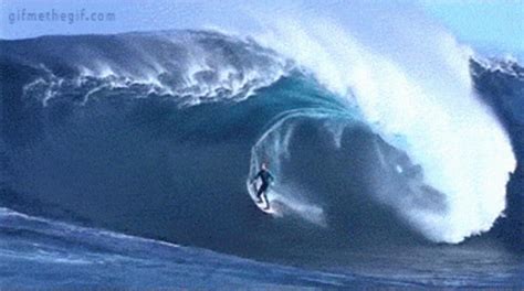 Ride The Blue Wave Surf GIF - RideTheBlueWave Surf Ocean - Discover & Share GIFs