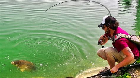 Carpa A SPINNING Alla Riserva Laghetto Azzurro YouTube