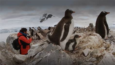 Selva Viva Patagonia En Ntv C Rculo Polar Artico Tvn