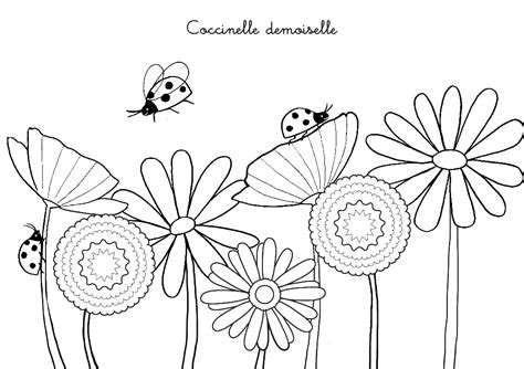 Dessins Gratuits à Colorier Coloriage Coccinelle à imprimer