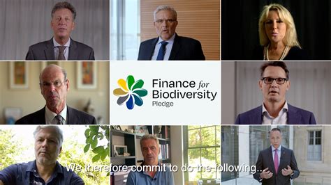 Financial Institutions Launched Finance For Biodiversity Pledge During