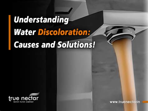 Understanding Water Discoloration Causes And Solutions True Nectar