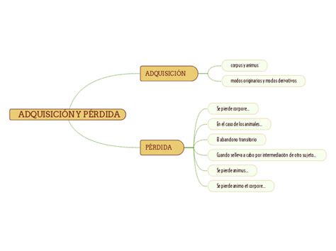 ADQUISICIÓN Y PÉRDIDA Mind Map