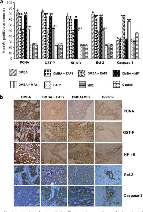 Figure 1 From Chemoprevention Of Rat Mammary Carcinogenesis By