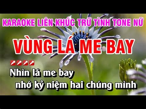 2023 Karaoke Liên Khúc Trữ Tình Tone Nữ Nhạc Sống Dễ Hát Vùng Lá Me