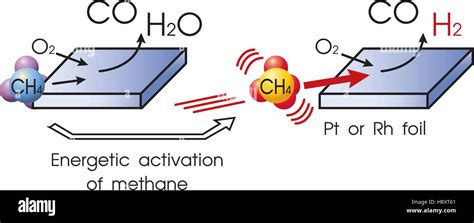 Anaerobic Oxidation Of Methane Aom Is A Microbial Process Occurring In Anoxic Marine And