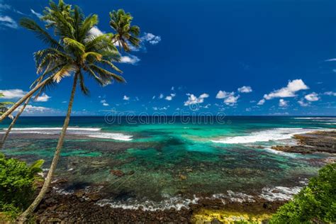 Tropical Volcanic Beach On Samoa Island With Many Palm Trees Stock