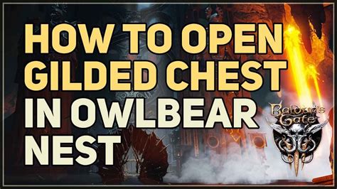 How To Unlock Gilded Chest Baldurs Gate 3 Owlbear Nest Youtube