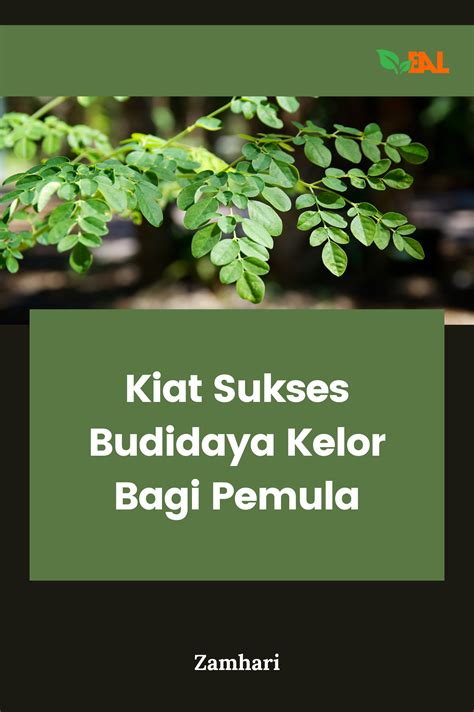 Kiat Sukses Budidaya Kelor Bagi Pemula Pt Elementa Media Literasi