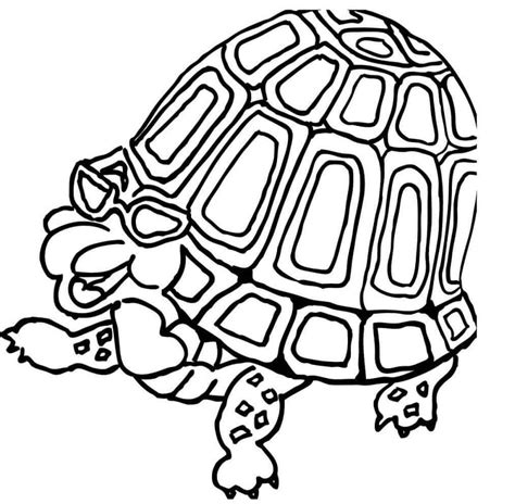 Fun Turtle Coloring Pages Coloring Cool