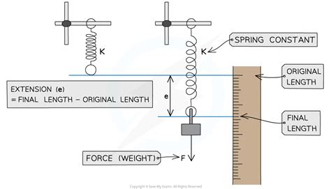 Hooke S Law GCSE Physics Revision Notes