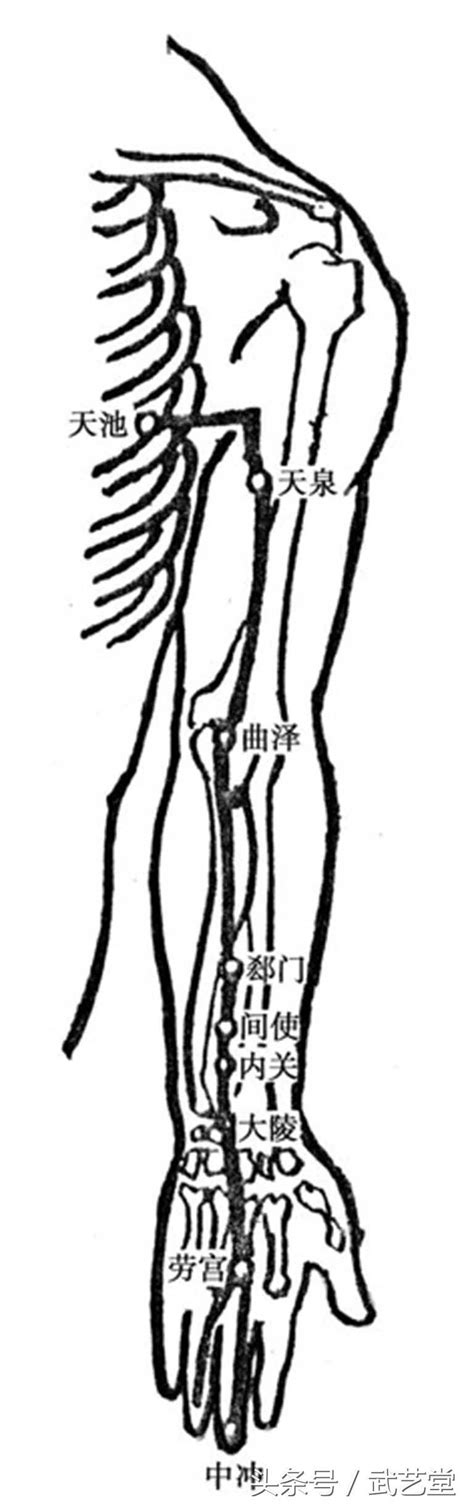 十二经络走向图及穴位养生调理方法 知乎
