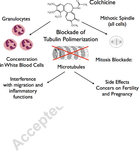 [PDF] Colchicine for pericarditis. | Semantic Scholar