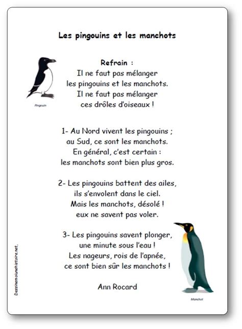 Chanson Les Pingouins Et Les Manchots D Ann Rocard Les Pingouins