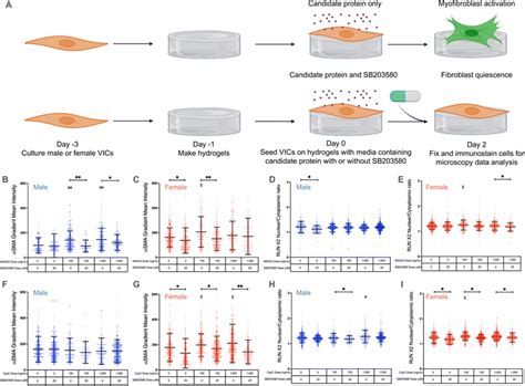 Inflammatory Serum Factors From Aortic Valve Stenosis Patients Modulate