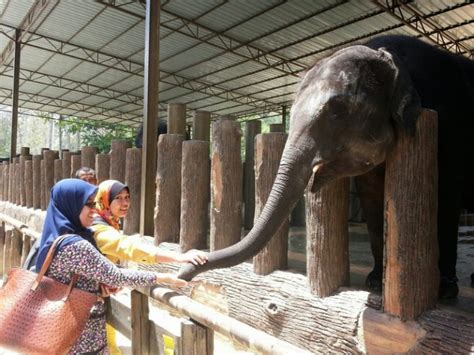 Jom Bawa Anak Anak Berkenalan Dengan Abang Long Lebih Dekat Di Pusat