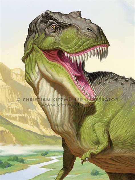 17 Best images about Fossils and dinosaurs on Pinterest | Prehistoric ...