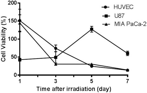 Cell Responses To Neutron Irradiation In The Absence Of B Huvec And