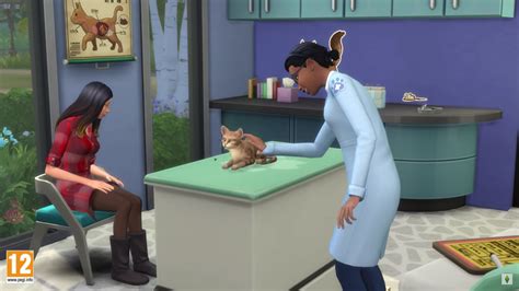 missile Conscience culture les sims 4 clinique veterinaire Découverte