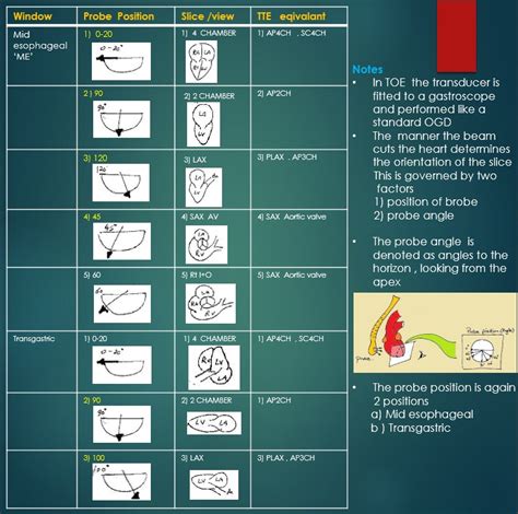 Three-Minute Review: Transthoracic and Transesophageal Echocardiography ...